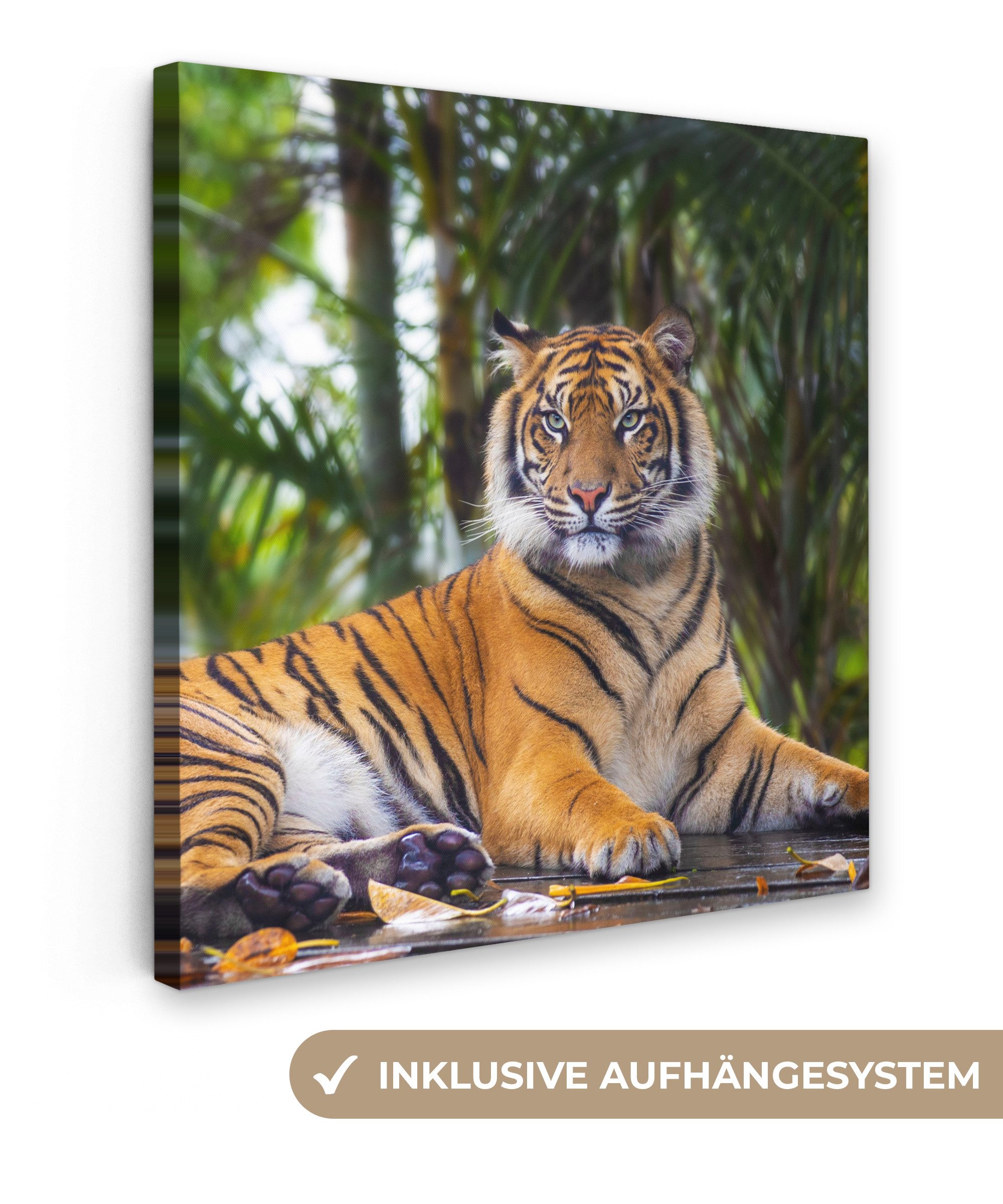 OneMillionCanvasses® Leinwandbild Tiger - Tiere - Wald - Dschungel, Fotodru günstig online kaufen
