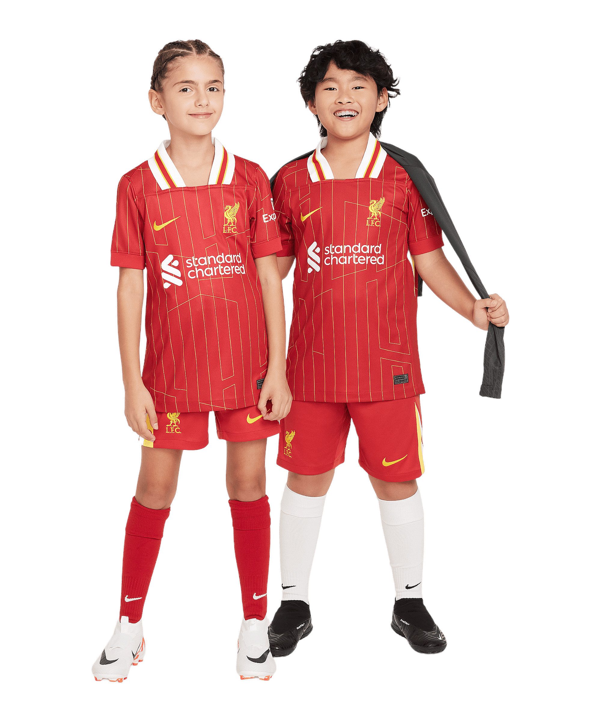 Nike Fußballtrikot Nike Performance Premier League