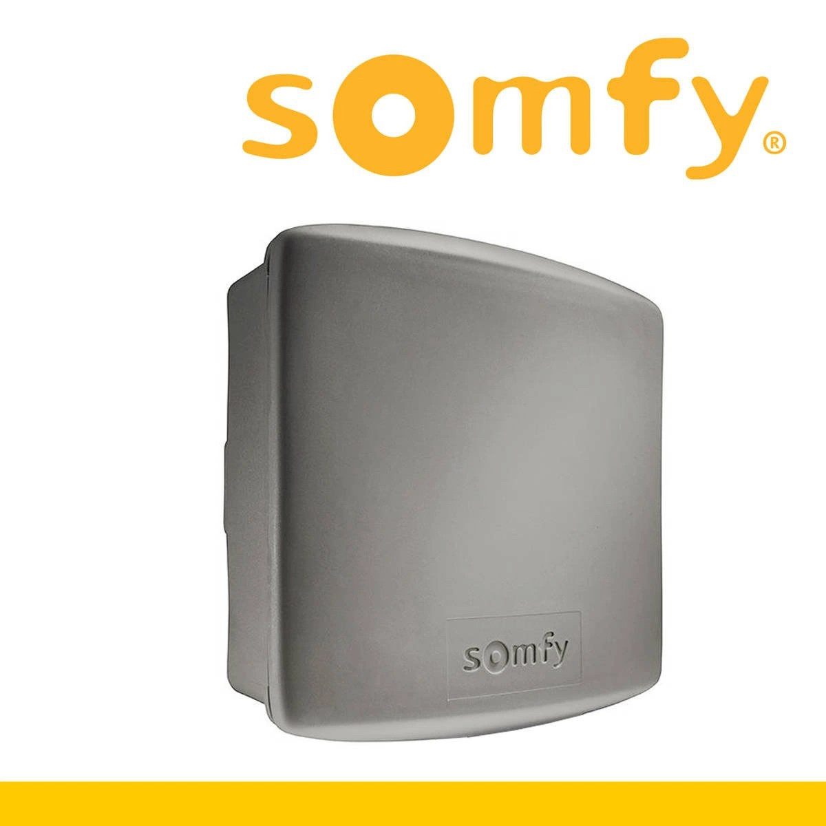 Somfy Drehtorantrieb Somfy Access Receiver iO Universal Funkempfänger, (1-tlg)