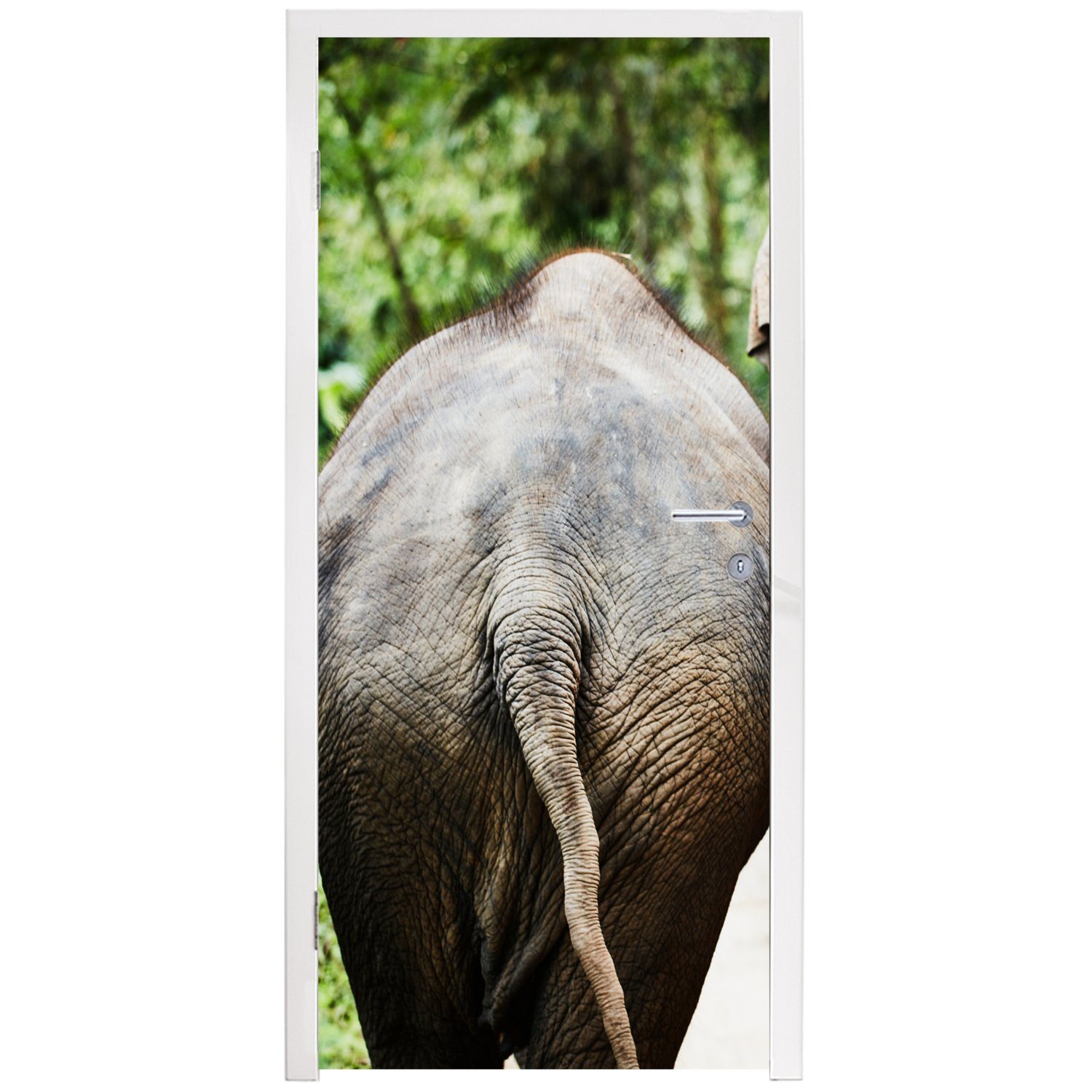 MuchoWow Türtapete Elefant Fototapete - Tiere Natur, - cm für - 75x205 bedruckt, Matt, Tür, Grau St), (1 Türaufkleber
