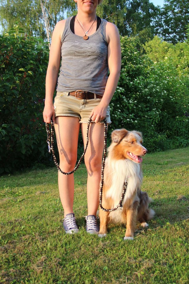 Thumbnail - Activity4Dogs Hundeleine große Hunde bis 60 kg, mehrfarbig geflochten, 3-fach verstellbar, 2m, auch als Doppelleine für ...