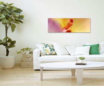 Sinus Art Leinwandbild Naturfotografie  Orangerote Blütenblätter auf Leinwand exklusives Wandbild moderne Fotografie für i