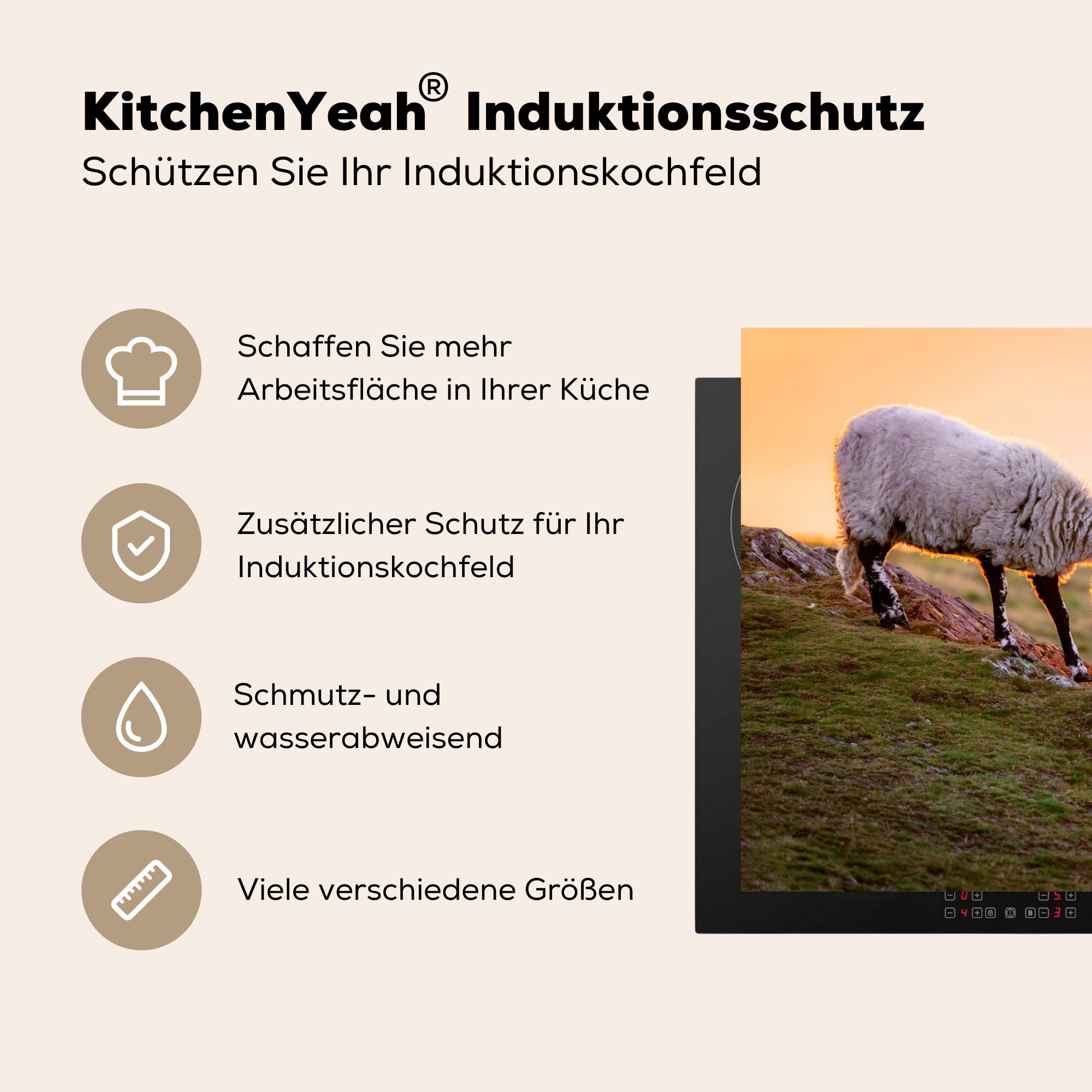 MuchoWow Herdblende-/Abdeckplatte Schafe Ceranfeldabdeckung küche, Vinyl, die für Sonnenuntergang, Induktionskochfeld 81x52 cm, (1 - tlg), Tiere - Schutz