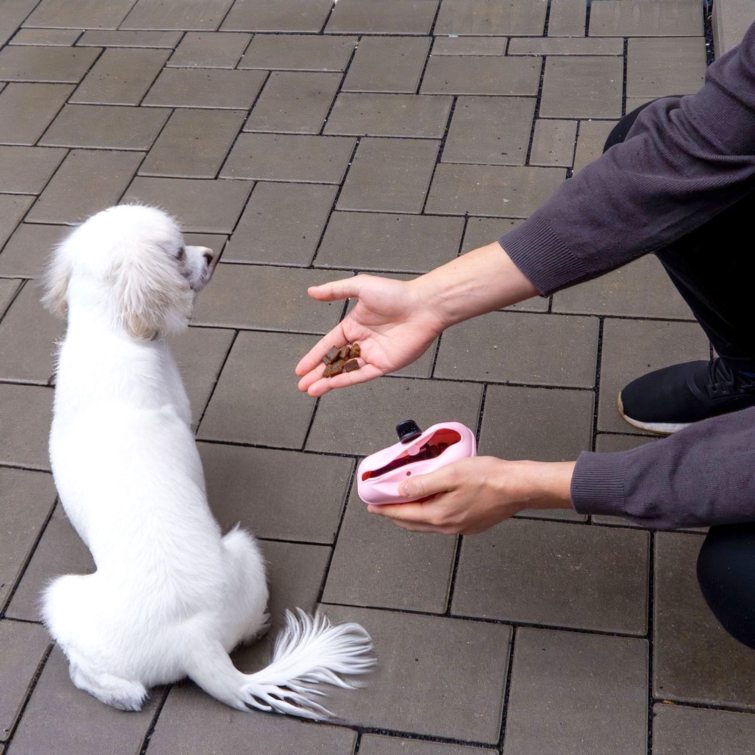Intirilife Hundeleine, Kunststoff (Set, 2-tlg., 1x Leckerlibeutel, 1x Trinkflasche), Hunde Set Rosa: Silikon Leckerlibeutel & Kunststoff Trinkflasche