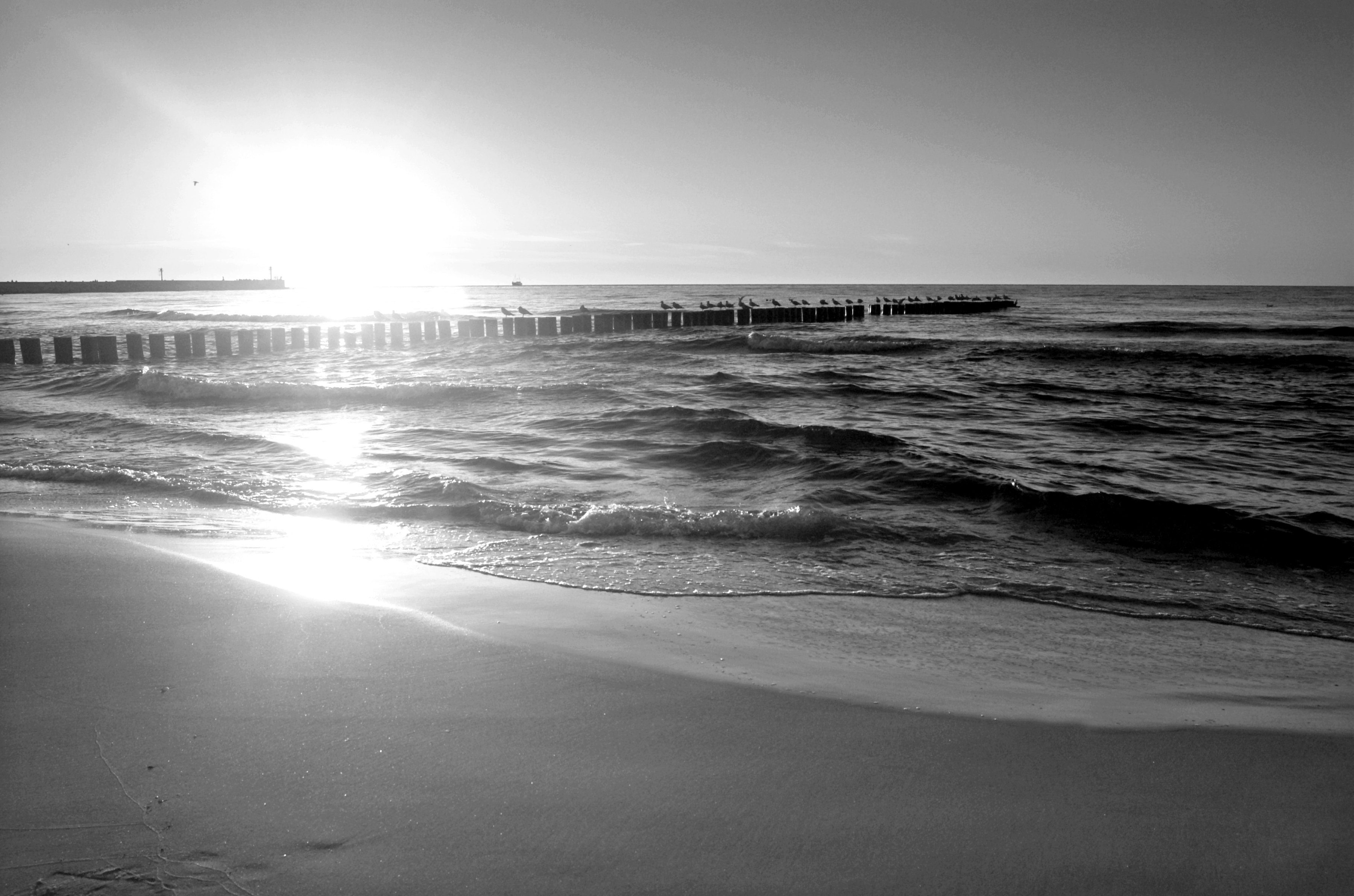 Papermoon Fototapete Strand schwarz & weiß