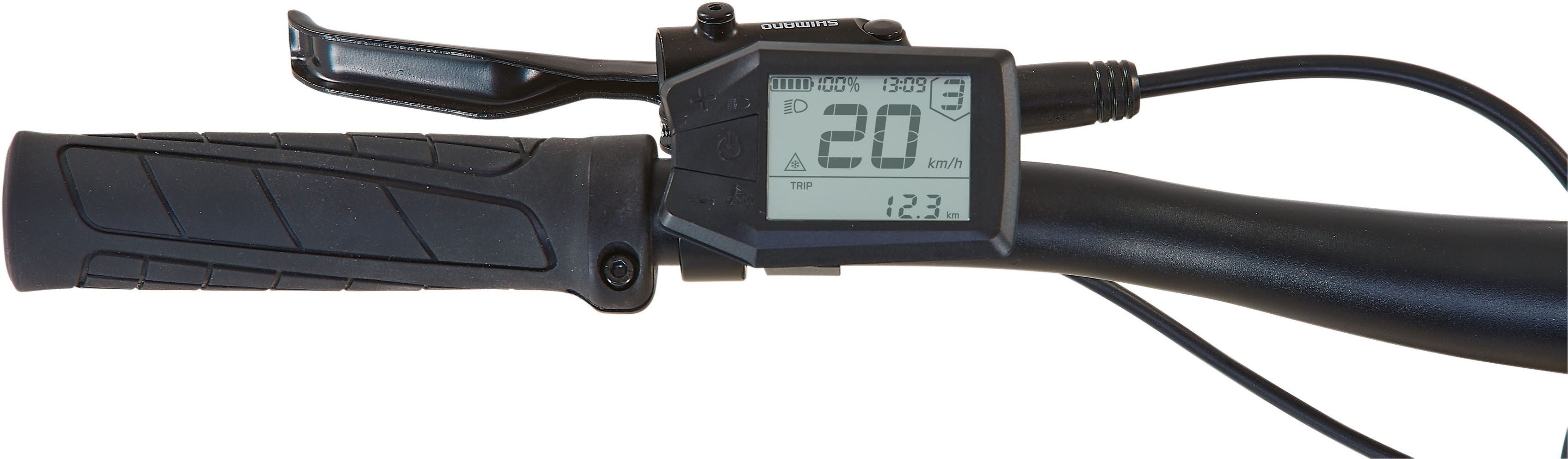 Prophete E-Bike Mountainbike Dice 2.0, 9 Gang Shimano Alivio Schaltwerk, Kettenschaltung, Heckmotor, 480 Wh, Pedelec, Elektrofahrrad für Damen und Herren, MTB