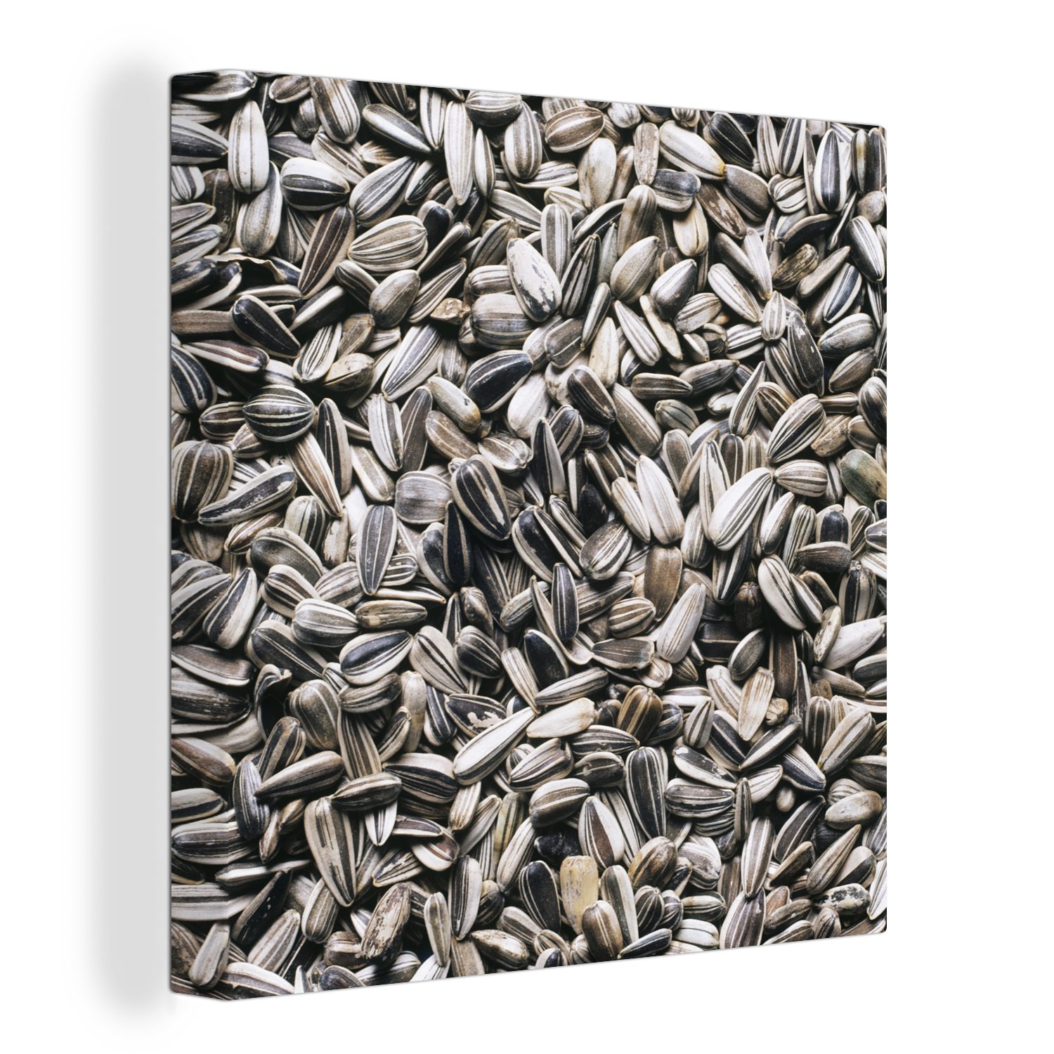 OneMillionCanvasses® Leinwandbild Nahaufnahme von weißen Sonnenblumenkernen, (1 St), Leinwand Bilder für Wohnzimmer Schlafzimmer