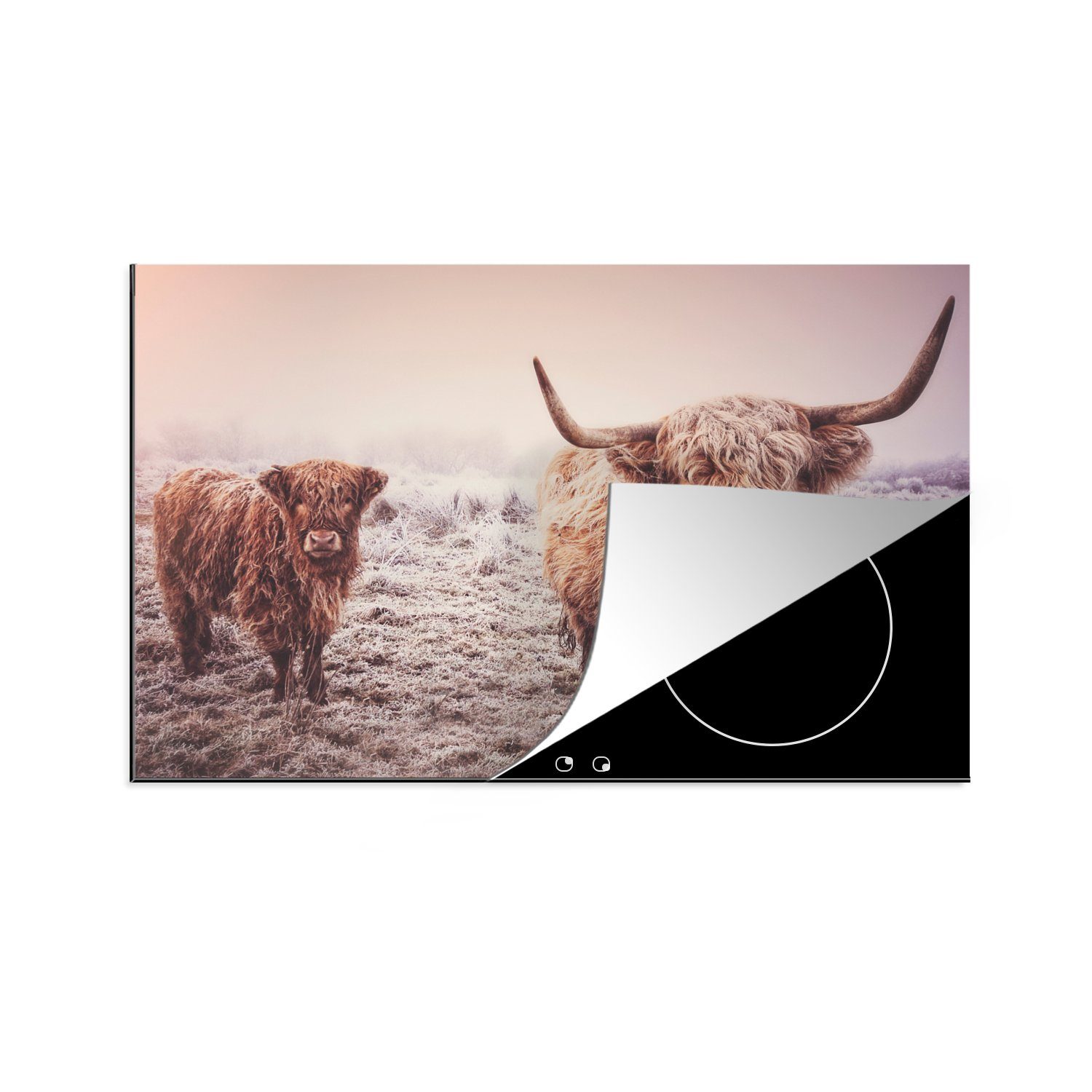 MuchoWow Herdblende-/Abdeckplatte Schottische Highlander - Schnee - Sonne, Vinyl, (1 tlg), 81x52 cm, Induktionskochfeld Schutz für die küche, Ceranfeldabdeckung