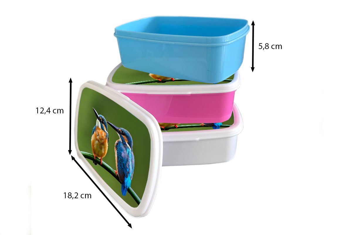 - Liebe Snackbox, für Kinder, - Lunchbox Eisvogel, rosa Kunststoff, Schilf Erwachsene, MuchoWow (2-tlg), Mädchen, Kunststoff Brotdose Brotbox