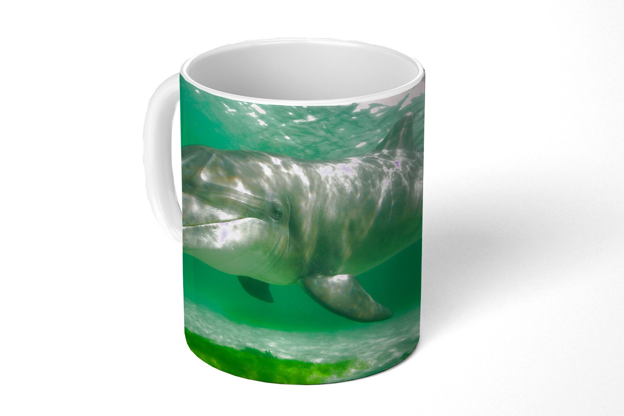 MuchoWow Tasse Delfin - Tiere - Wasser, Keramik, Kaffeetassen, Teetasse, Becher, Teetasse, Geschenk