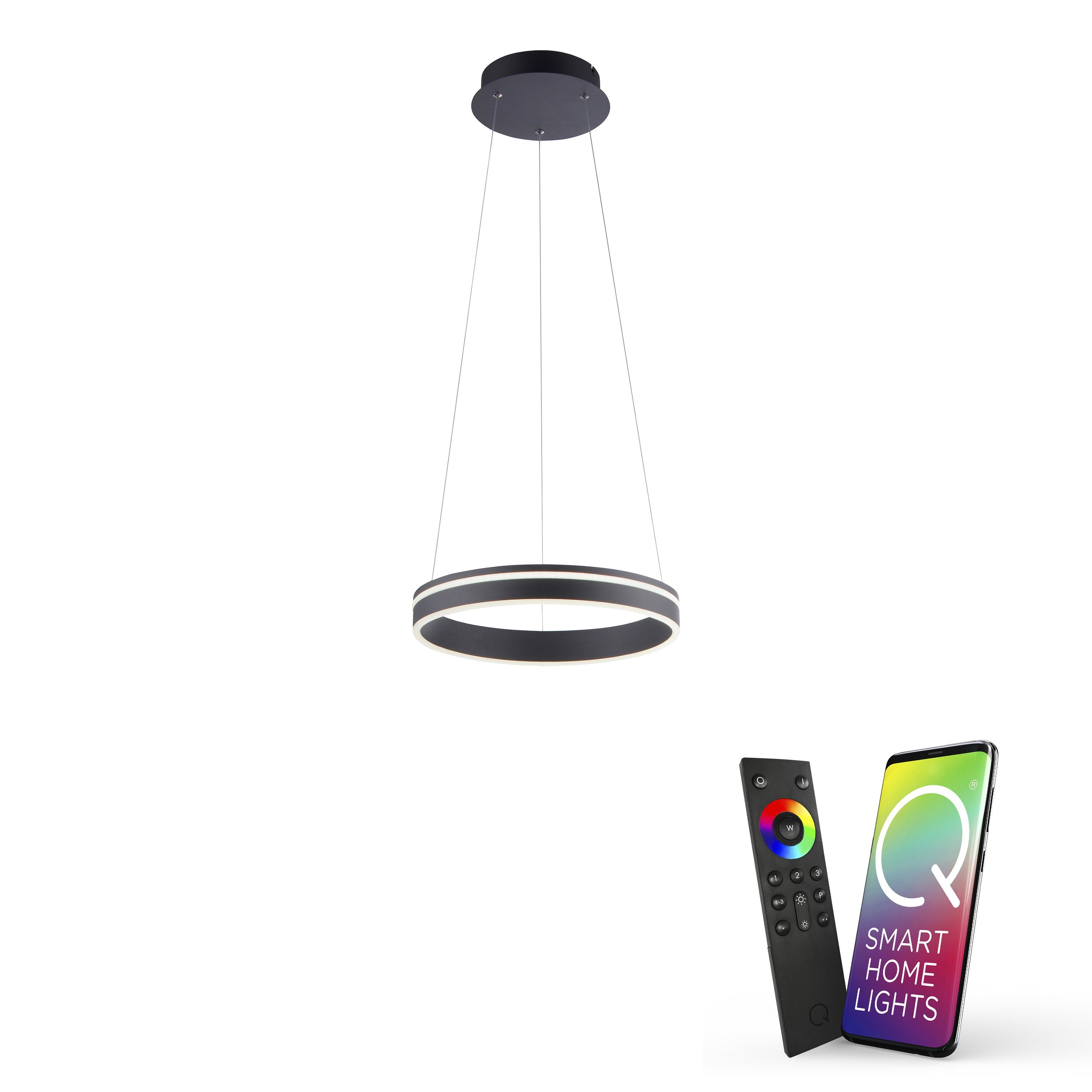 [Sehr willkommen] Paul Neuhaus Smarte LED-Leuchte mit Q-Vito Works Smart Farbwechsel Leuchtmittel, Dimmfunktion, Memoryfunktion, Pendellampe Ring, CCT-Farbregelung, Alexa, with CCT Home, Pendelleuchte anthrazit LED Ring