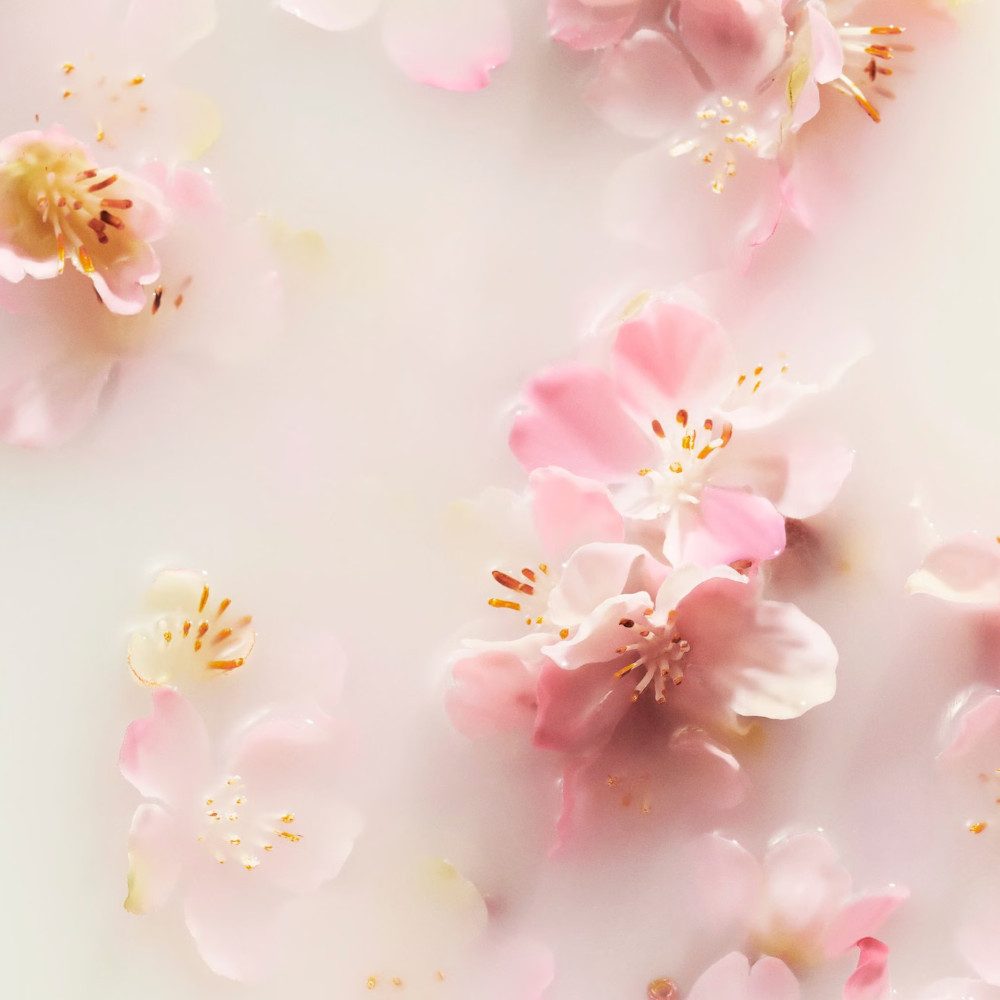 Rituals Bodylotion The Ritual of Sakura Body Lotion Mousse 150 ml, 1-tlg., Mit Reismilch & Kirschblüte, 90 % natürliche Inhaltsstoffe