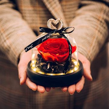 Kunstblume Blume Konservierte Rose Ewige Rose LED Lichterkette Hochzeit, AKKEE, Höhe 13 cm, Geschenke für Valentinstag, Muttertag, Jubiläum, Weihnachtstag