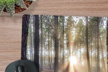 MuchoWow Gaming Mauspad Mehrere ausgewachsene Baumstämme im Wald (1-St), Mousepad mit Rutschfester Unterseite, Gaming, 40x40 cm, XXL, Großes