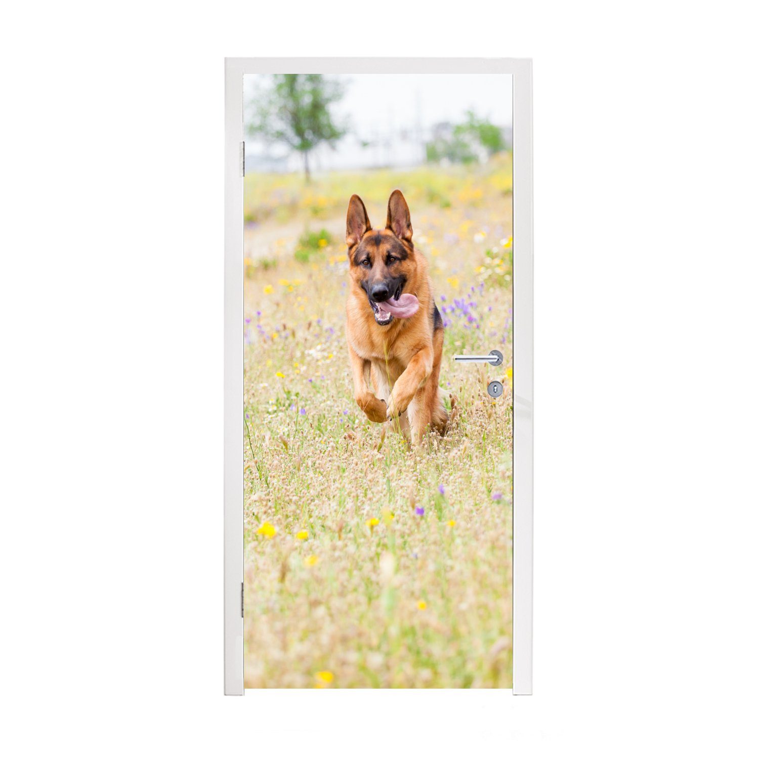 Türtapete (1 cm Schäferhund bedruckt, Blumen, Deutscher bunten Matt, Türaufkleber, St), Fototapete zwischen MuchoWow Tür, 75x205 für spaziert
