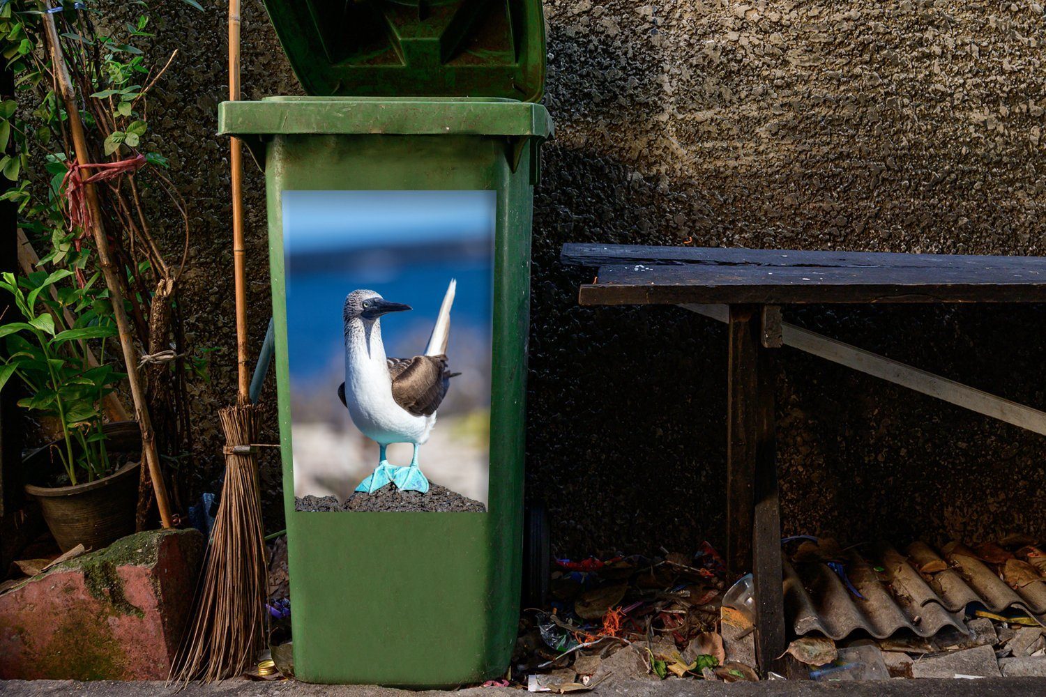 MuchoWow einem Felsen Wandsticker der auf einem Nachmittag Blaufußtölpel, St), Container, sitzt (1 Mülltonne, an Sticker, Abfalbehälter Mülleimer-aufkleber, sonnigen