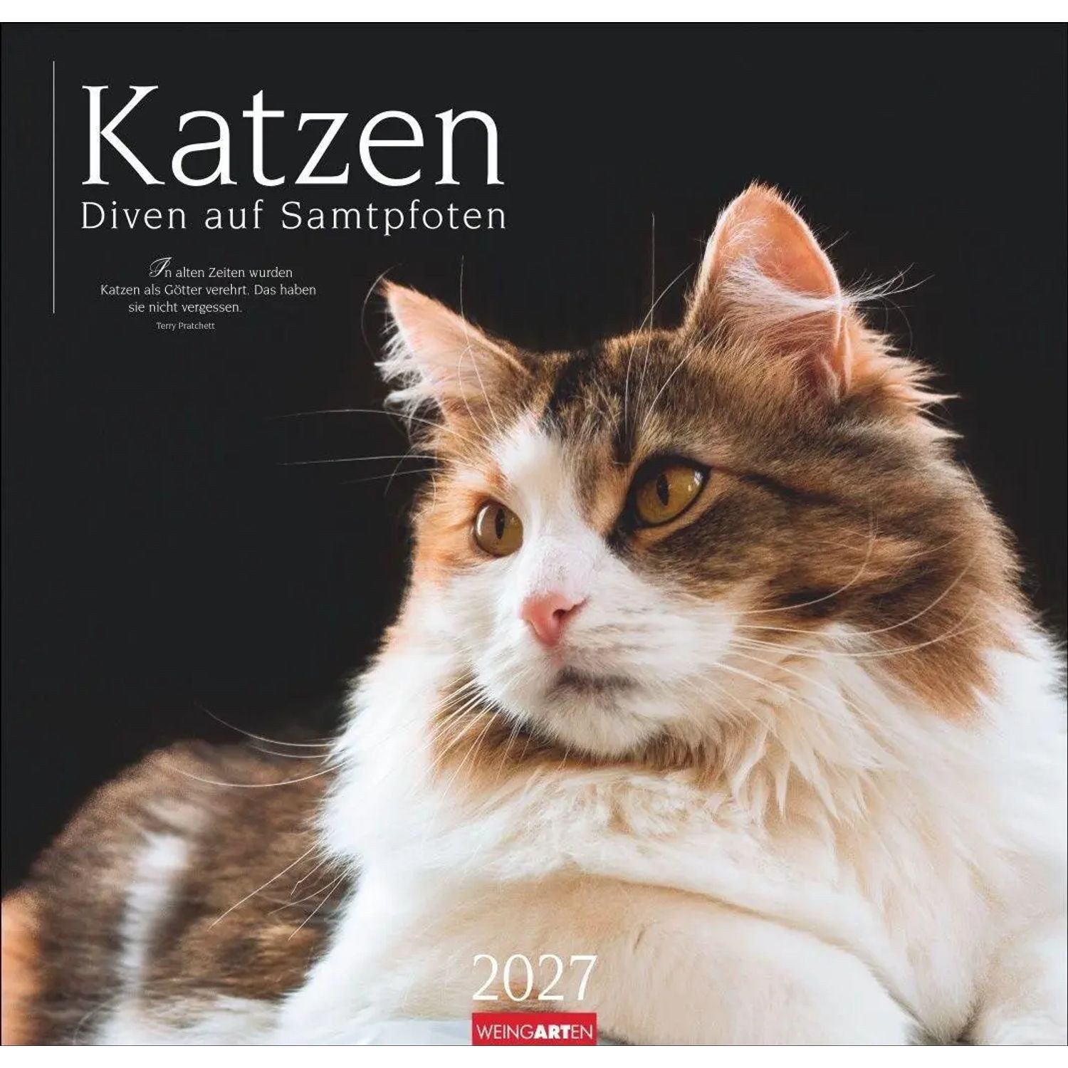 Wandkalender Katzen - Diven auf Samtpfoten Kalender 2027 - Diven auf Samtpfoten