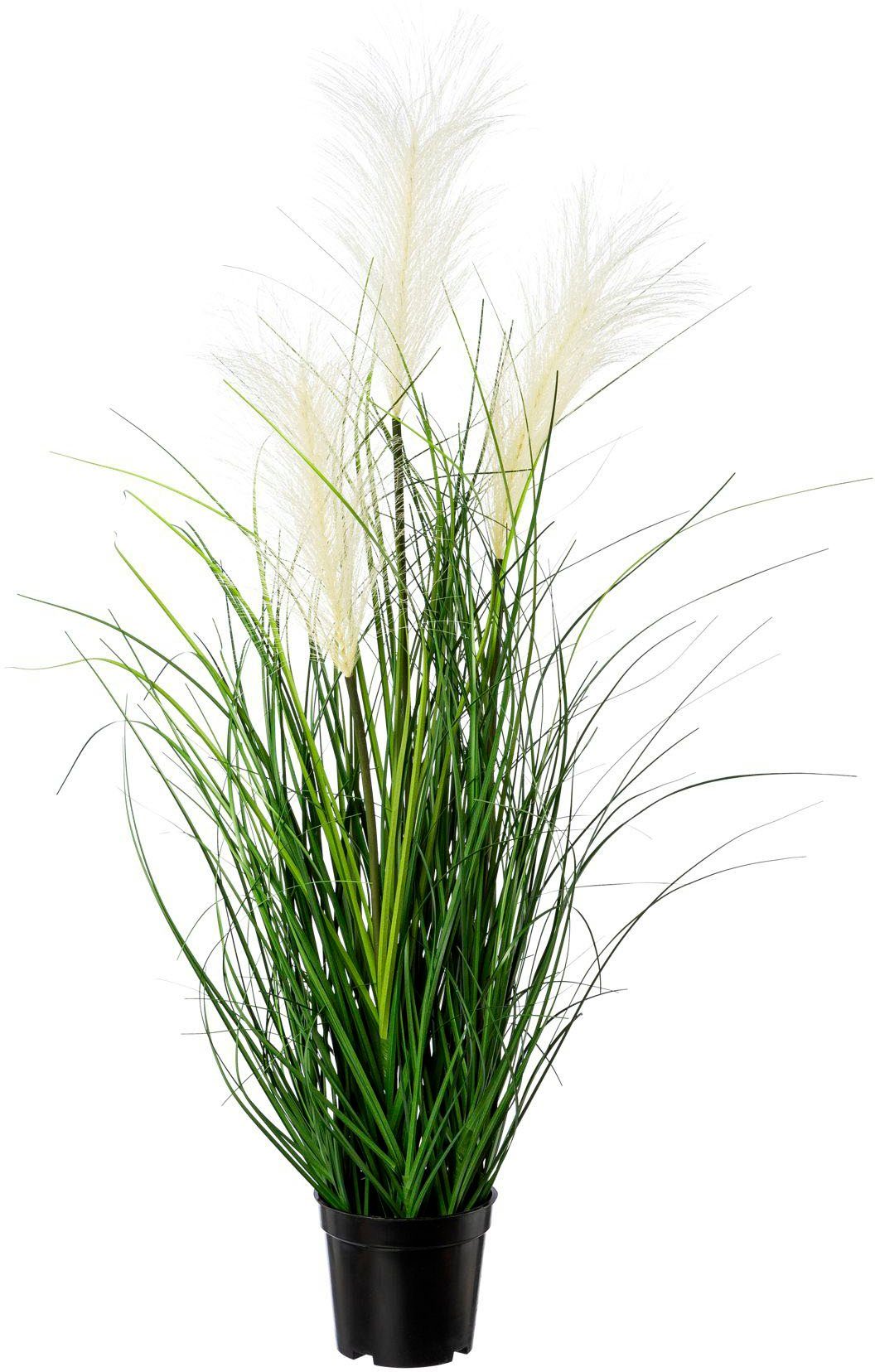 Kunstgras Pampasgras Gras, Creativ green, Höhe günstig online kaufen