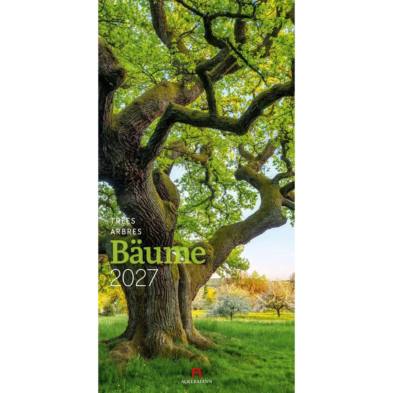 Ackermann Wandkalender Bäume Kalender 2027
