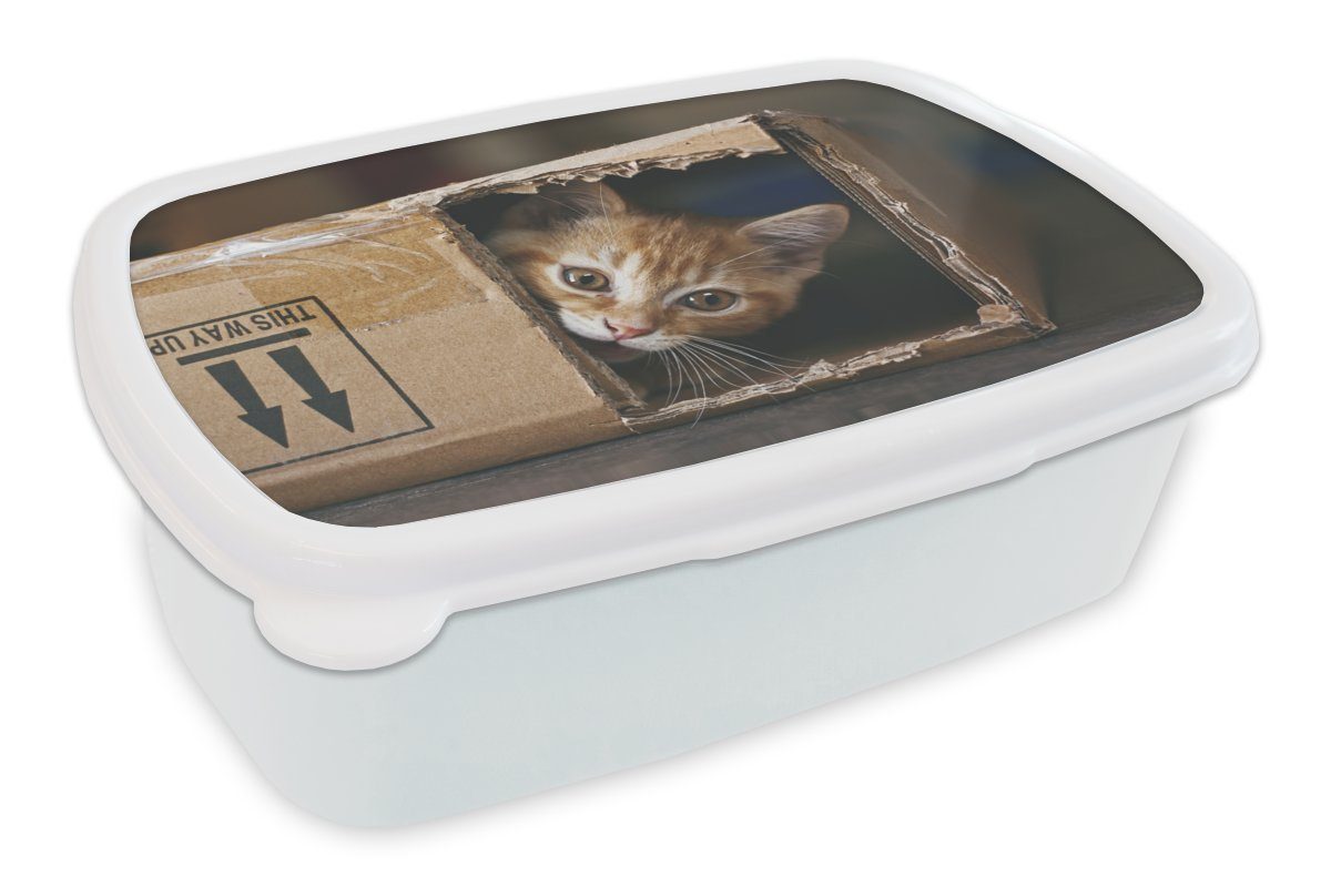 MuchoWow Lunchbox Kätzchen - Box - Spielen, Kunststoff, (2-tlg), Brotbox für Kinder und Erwachsene, Brotdose, für Jungs und Mädchen weiß