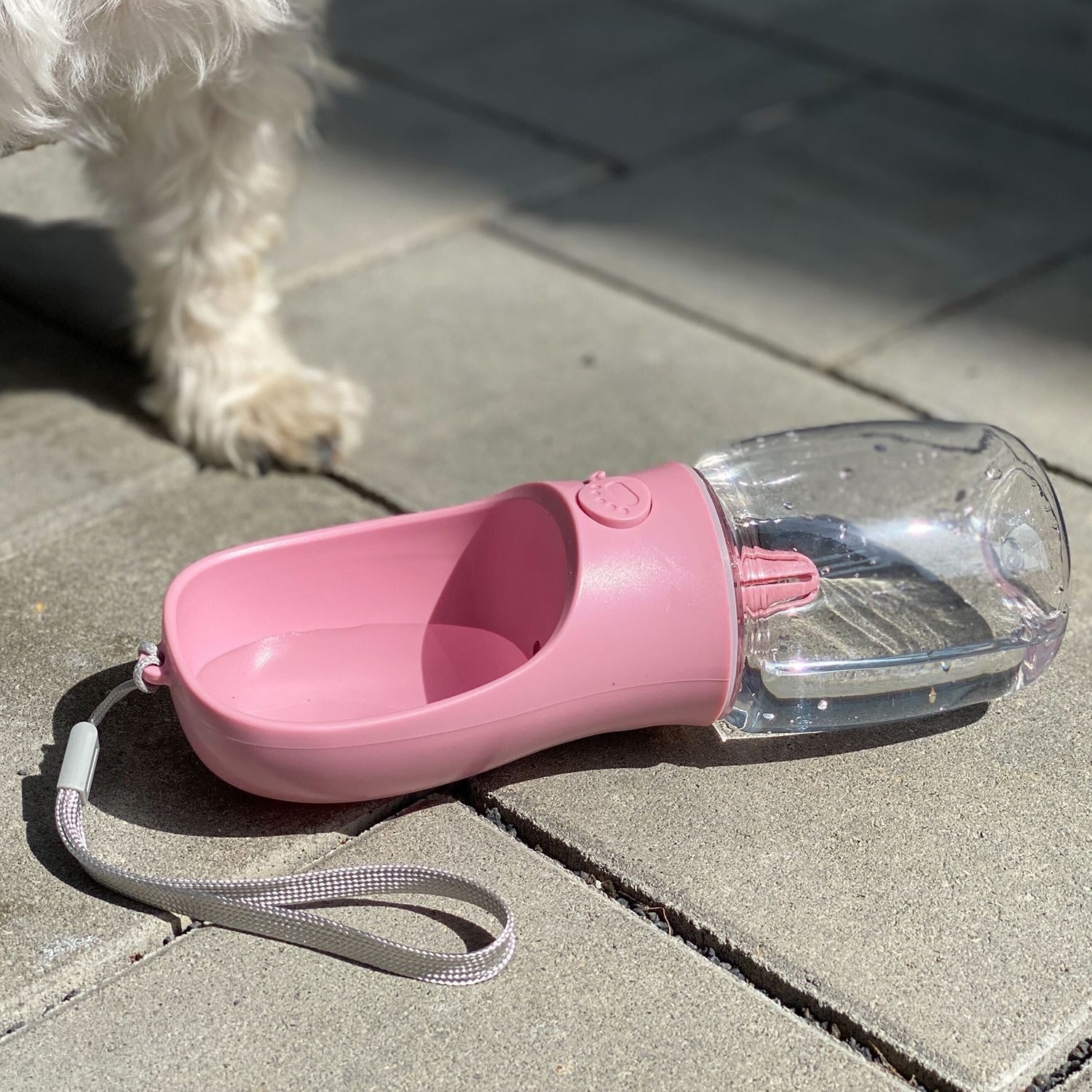 Intirilife Reisenapf, 350 ml Füllmenge - Für lange Spaziergänge Parks Wandern und Reisen