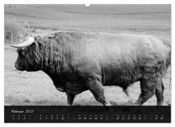 CALVENDO Wandkalender Highland Cattle vom Nordlicht - Faszination Hochland Rind (Premium, hochwertiger DIN A2 Wandkalender 2023, Kunstdruck in Hochglanz)