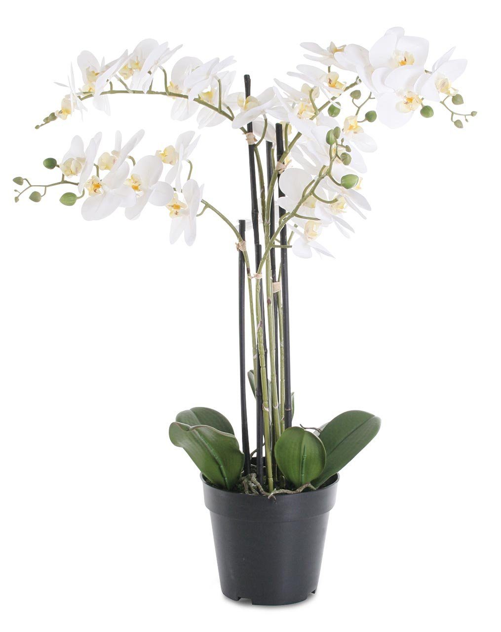 Kunstpflanze, Levandeo®, Weiße Orchidee 72cm Pflanze Kunstblume Kunstpflanze Dekoration