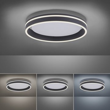 Paul Neuhaus Smarte LED-Leuchte LED Deckenleuchte rund Ø 40cm Q-Vito, Smart Home, CCT-Farbtemperaturwechsel, Dimmfunktion, Memoryfunktion, mit Leuchtmittel, CCT Lichttemperaturwechsel, dimmbar Fernbedienung