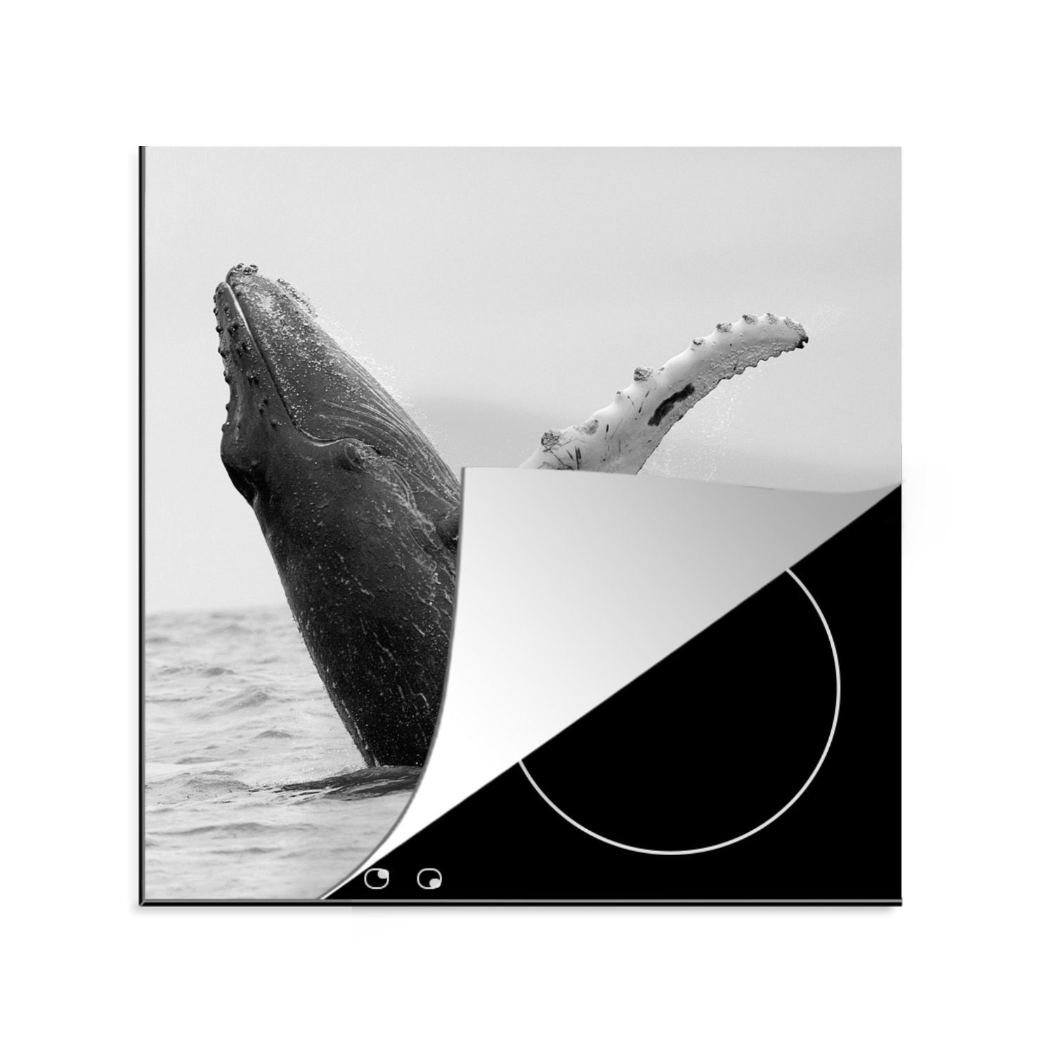 MuchoWow Herdblende-/Abdeckplatte Buckelwal im Meer bei Costa Rica in schwarz-weiß, Vinyl, (1 tlg), 78x78 cm, Ceranfeldabdeckung, Arbeitsplatte für küche