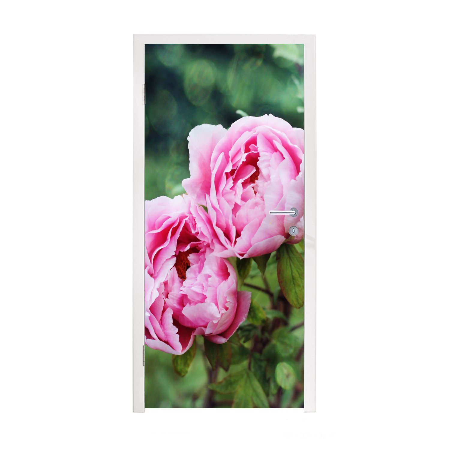 MuchoWow Türtapete Rosa Pfingstrosen im Garten, Matt, bedruckt, (1 St), Fototapete für Tür, Türaufkleber, 75x205 cm