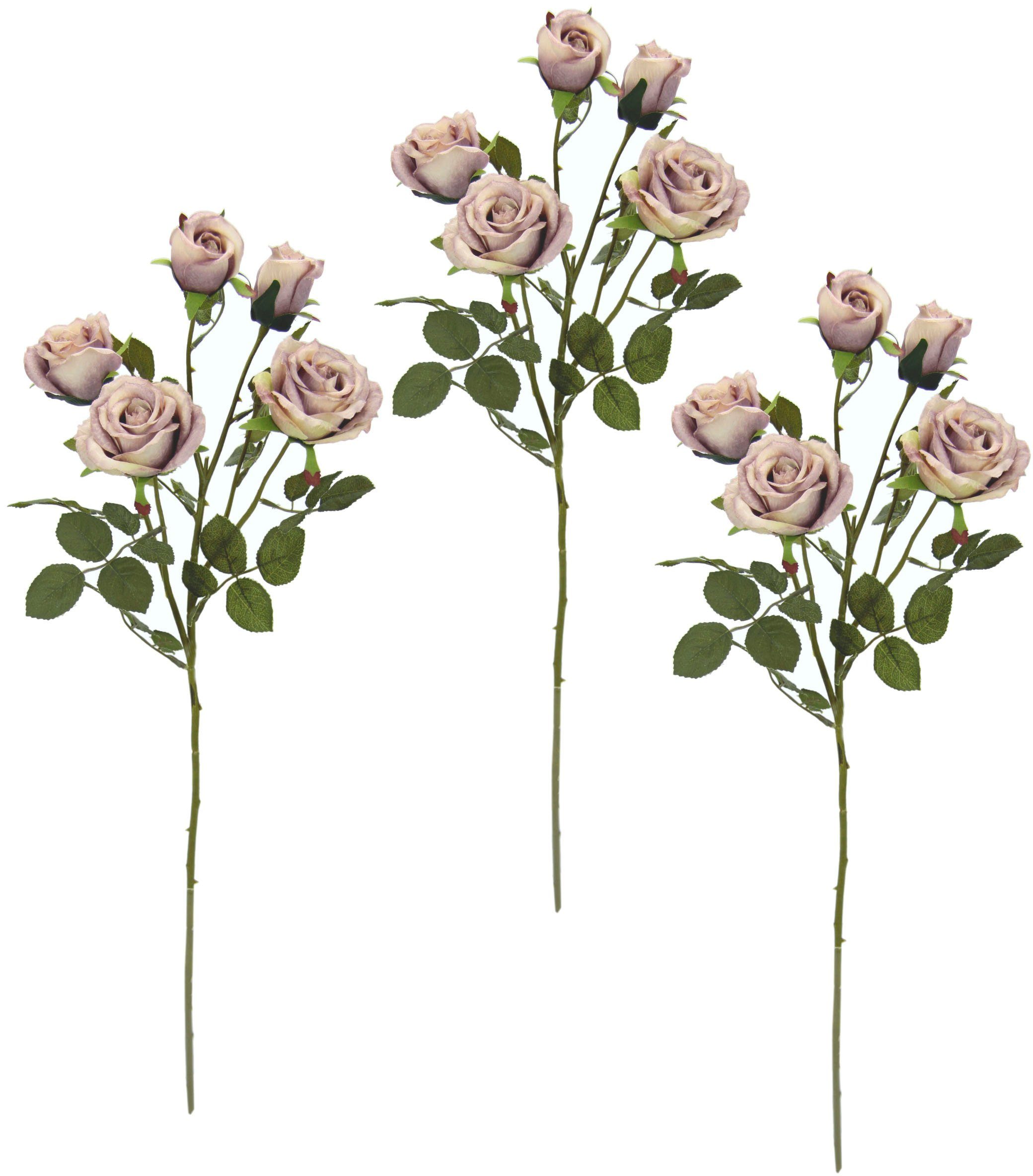 Kunstblume Rosenzweig, I.GE.A., Höhe 73 cm, 3er Set mauve | Kunstblumen