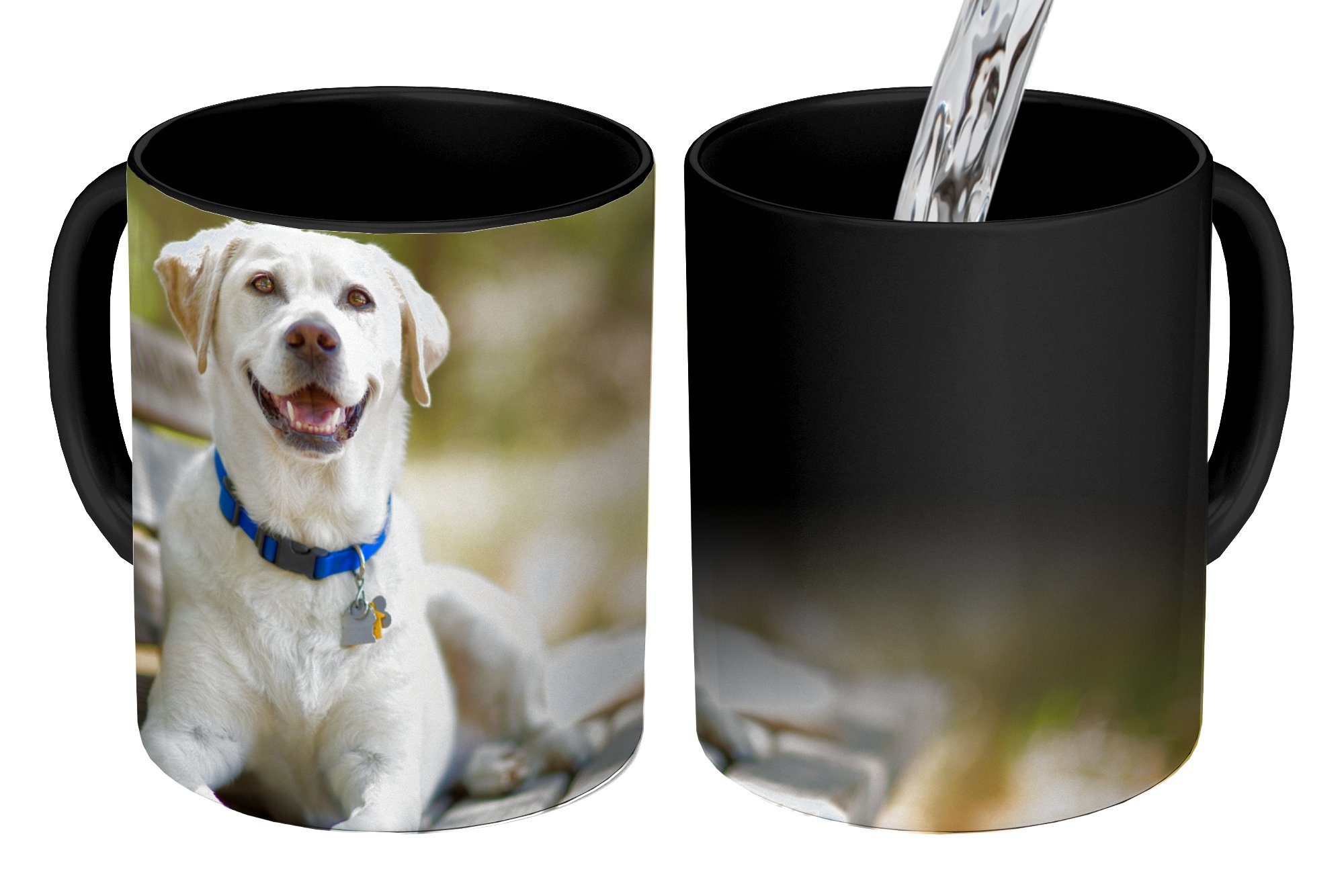 MuchoWow Tasse Labrador Retriever auf einer Bank, Keramik, Farbwechsel, Kaffeetassen, Teetasse, Zaubertasse, Geschenk