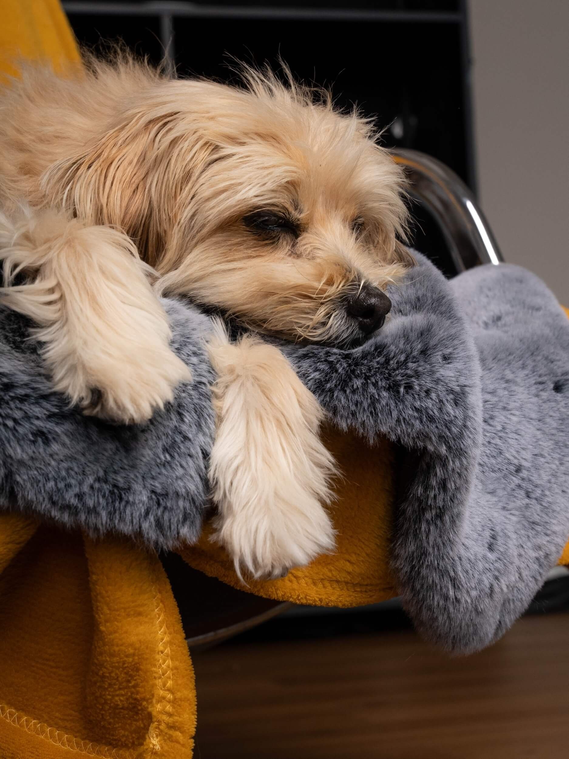 TrendPet Tierdecke Felldecke "Yuma", 100% Polyester, verschiedene Größen