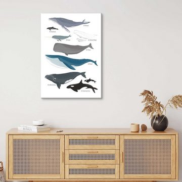 Posterlounge Leinwandbild Sandy Lohß, Wale, Kinderzimmer Illustration