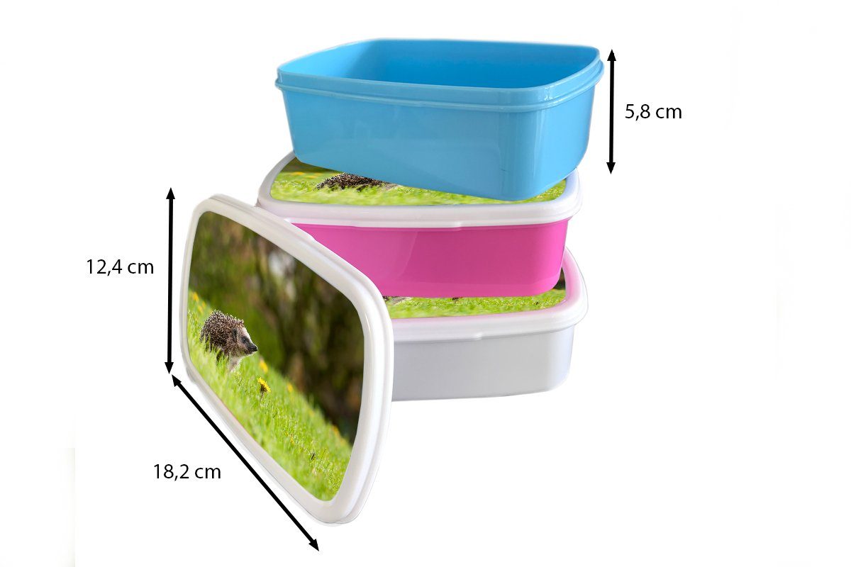 MuchoWow Lunchbox für Jungs Igel Gras, (2-tlg), Brotbox im Kunststoff, und Mädchen Brotdose, Kinder für und weiß Erwachsene