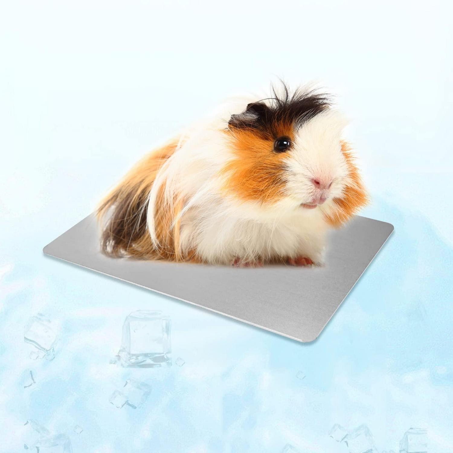 LuxusKollektion Tierbett Kühlmatte für Kleintiere 12x8cm