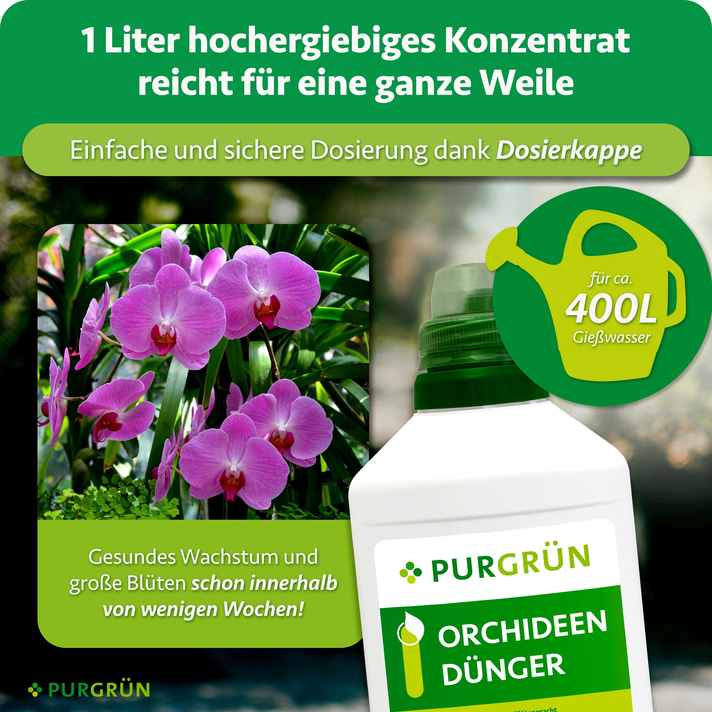 Purgrün Blumendünger Orchideen Dünger, NPK 7+5+6, für Blütenpracht, 1L, Flüssigdünger, 1-St., 1 Liter – Bild 4 von 5