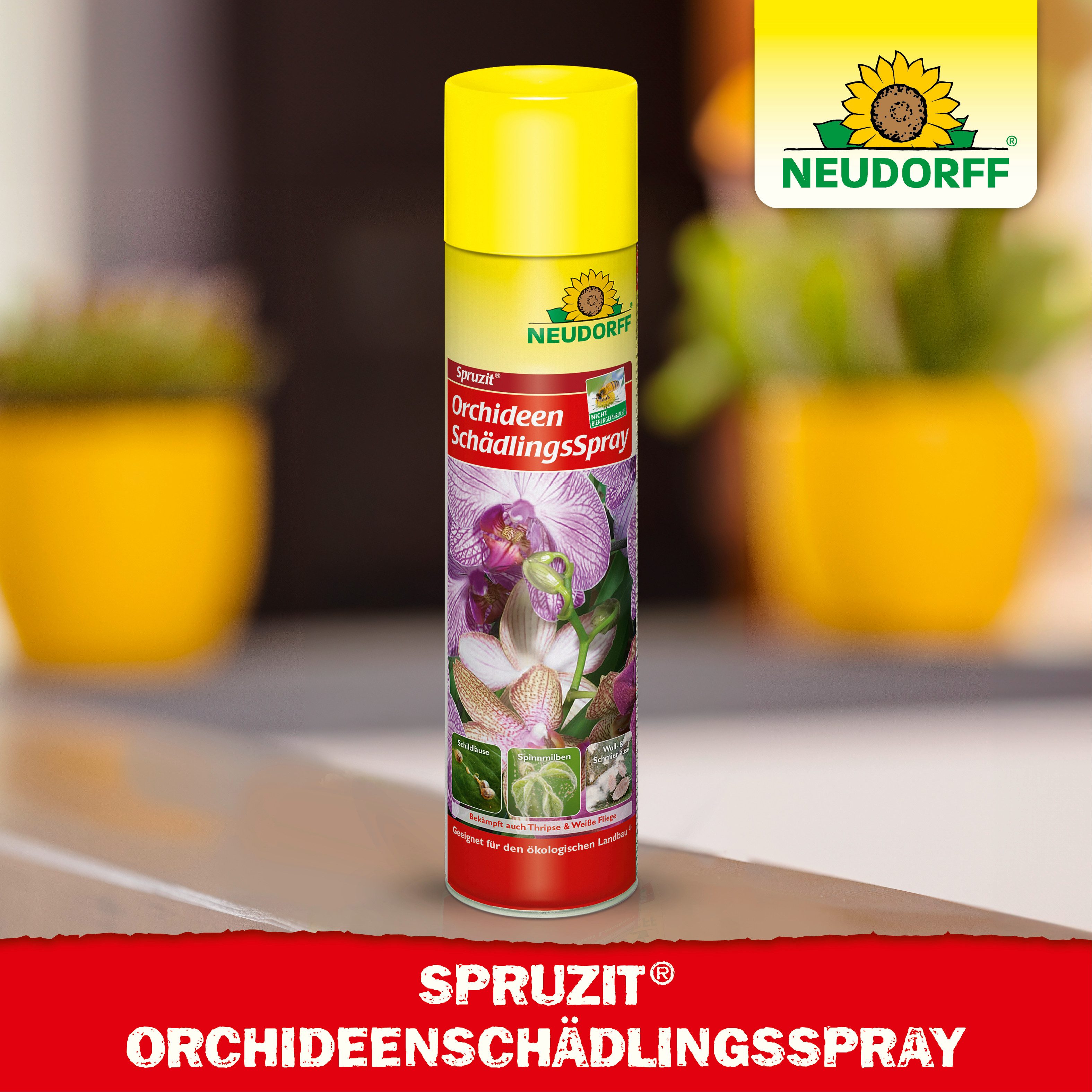 Neudorff Insektenspray Spruzit OrchideenSchädlingsSpray 300 ml, 0.3 l, Wirkt gegen Eier, Larven & ausgewachsene Insekten, SchädlingsSpray gegen typische Schädli – Bild 5 von 5