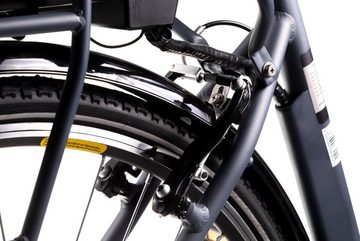 Maxtron E-Bike MC 14, 3 Gang Shimano Nexus Schaltwerk, Nabenschaltung, Frontmotor, 360 Wh Akku