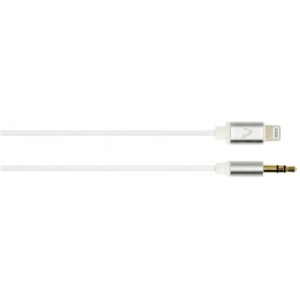 AVINITY AVinity Lightning-Klinkenkabel 1m für iPhone/iPad. Audio- & Video-Adapter Lightning
