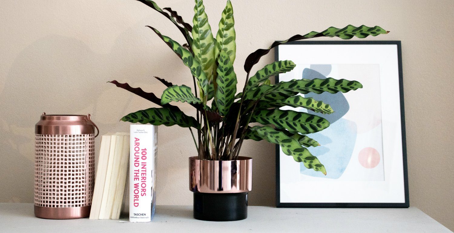 LaLe Living Blumentopf Bakir aus Kupfer mit Schwarz Ø13,5x13cm, aus Eisen mit Emaille glänzend