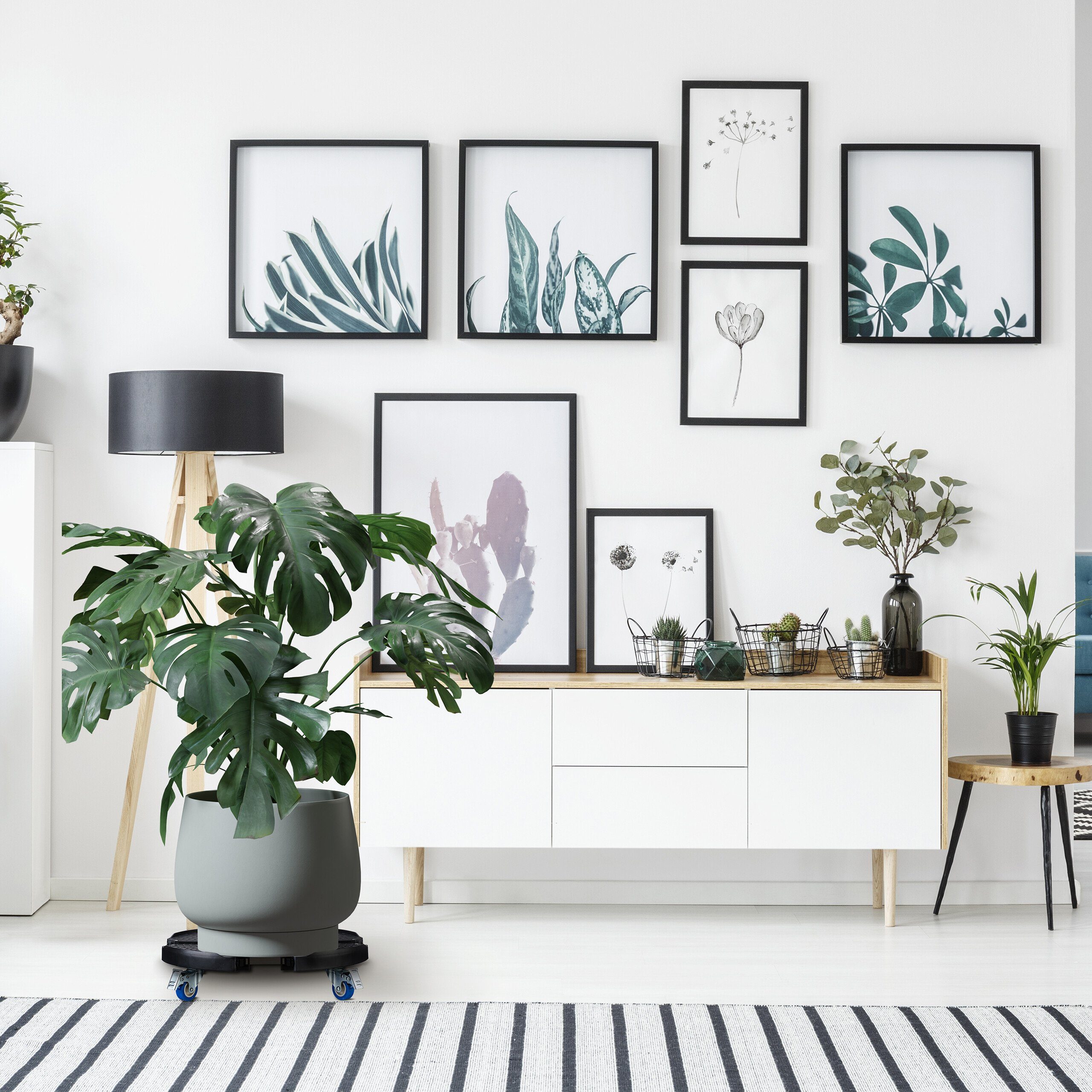 relaxdays Pflanzenroller Ausziehbarer Pflanzenroller günstig online kaufen