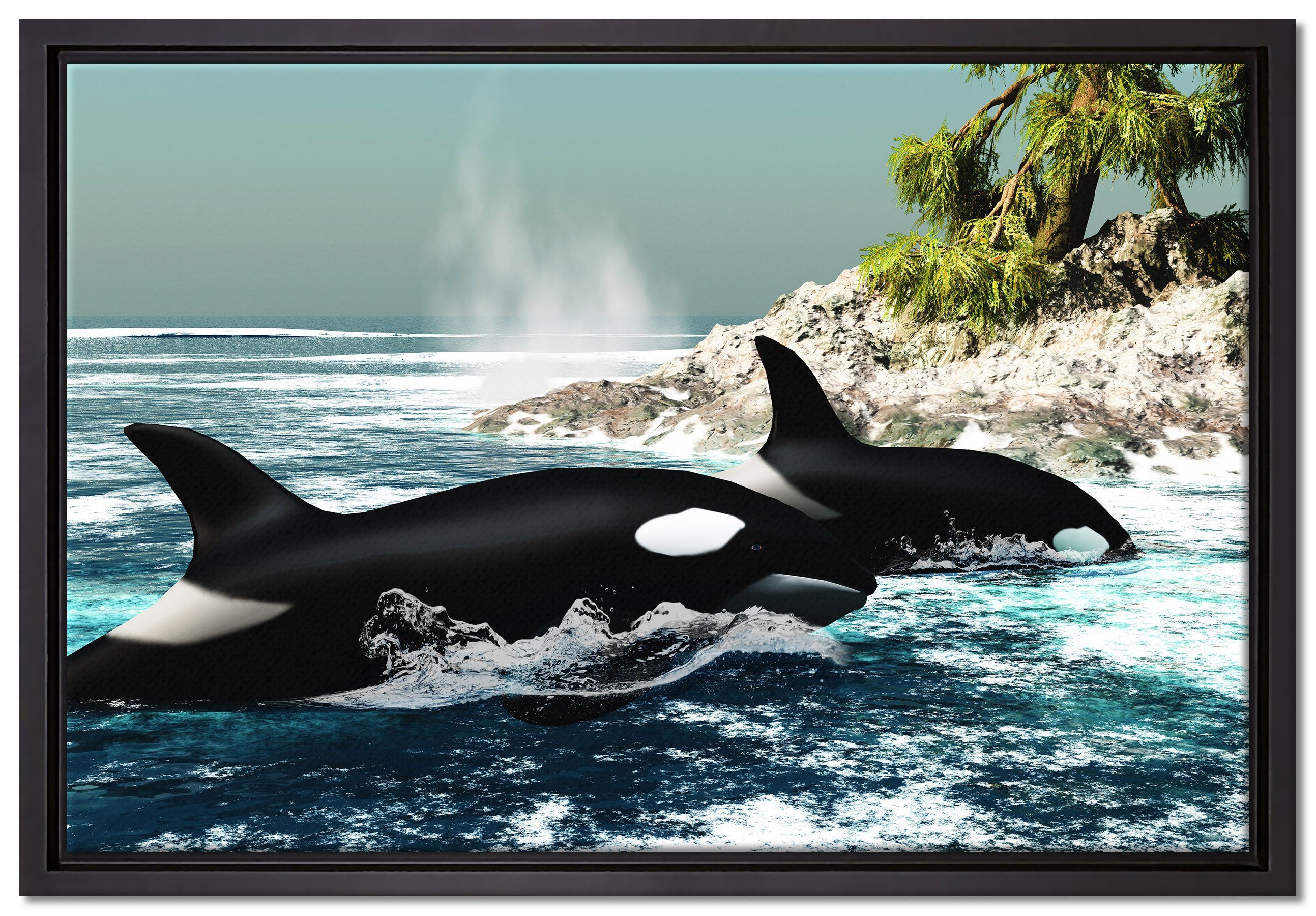 Pixxprint Leinwandbild Orcas vor Insel, Wanddekoration (1 St), Leinwandbild fertig bespannt, in einem Schattenfugen-Bilderrahmen gefasst, inkl. Zackenaufhänger