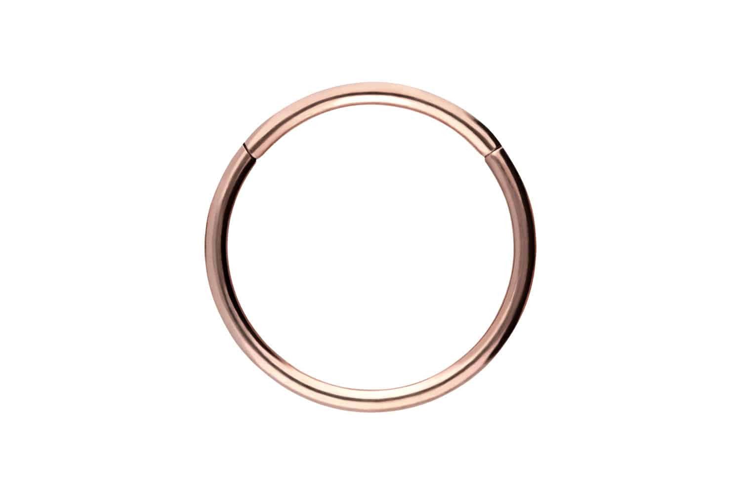 Piercing-Set Chirurgenstahl Segmentring Clicker