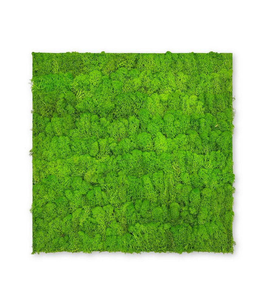 JANGAL 3D Wandpaneel Modular Wall Akustikpaneel, Die Holz- und Steinoberflächen sind aus Echtholz- und Echtsteinfurnier