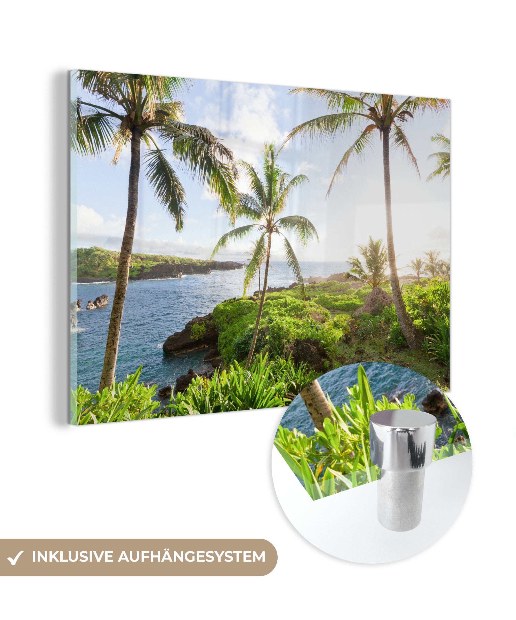 MuchoWow Acrylglasbild Die tropische Flora und Fauna an der Küste von Hawaii, (1 St), Acrylglasbilder Wohnzimmer & Schlafzimmer