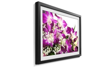 WandbilderXXL Bild mit Rahmen Orchid Blossom, Blumen, Wandbild, in 4 Größen erhältlich