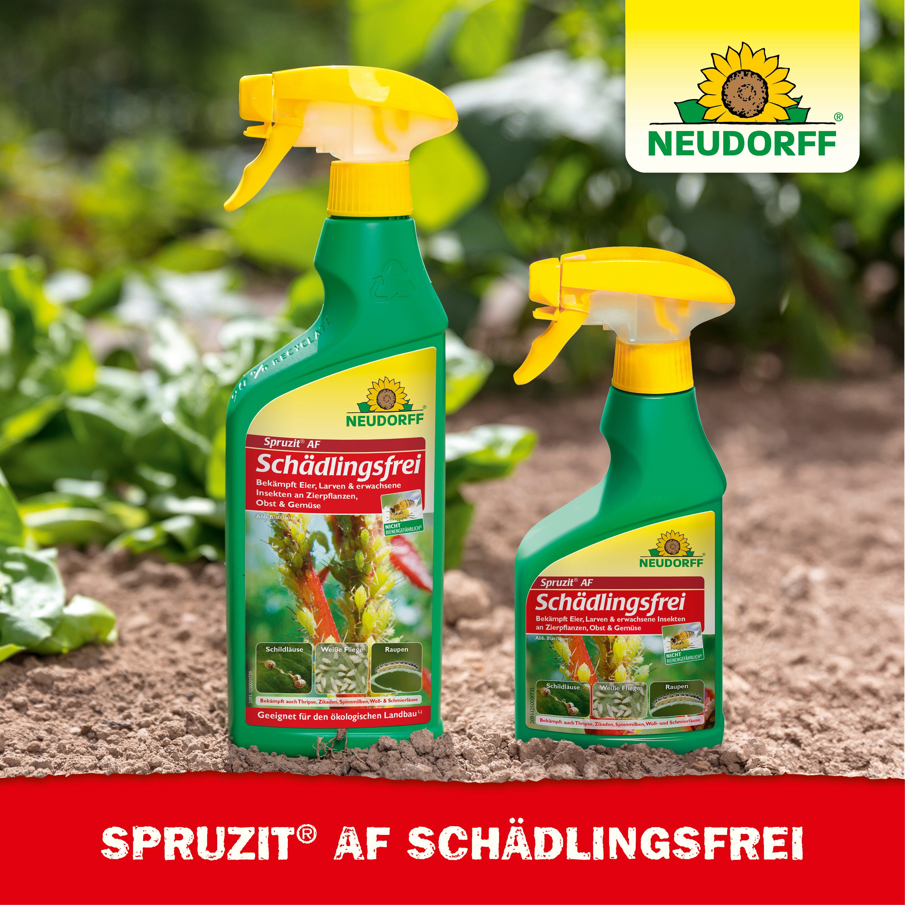 Neudorff Insektenspray Spruzit AF Schädlingsfrei 250 ml, 250 ml, Für Zierpflanzen, Obst & Gemüse in Haus und Garten, Anwendungsfertiges Spray gegen zahlreiche P – Bild 5 von 5