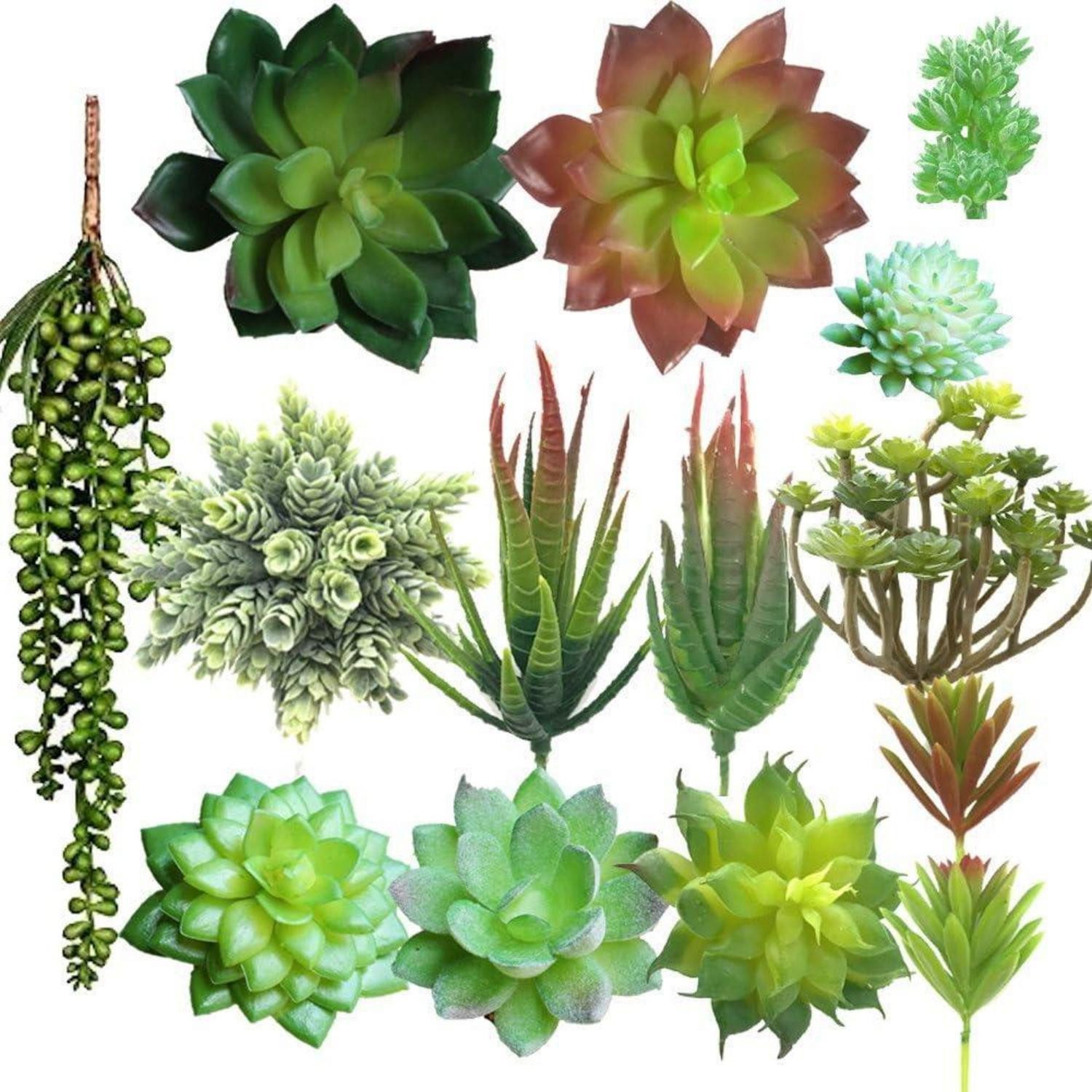 Kunstkaktus 14 tlg. künstliche Sukkulenten Faux saftige Auswahl Bouquet, LuxusKollektion