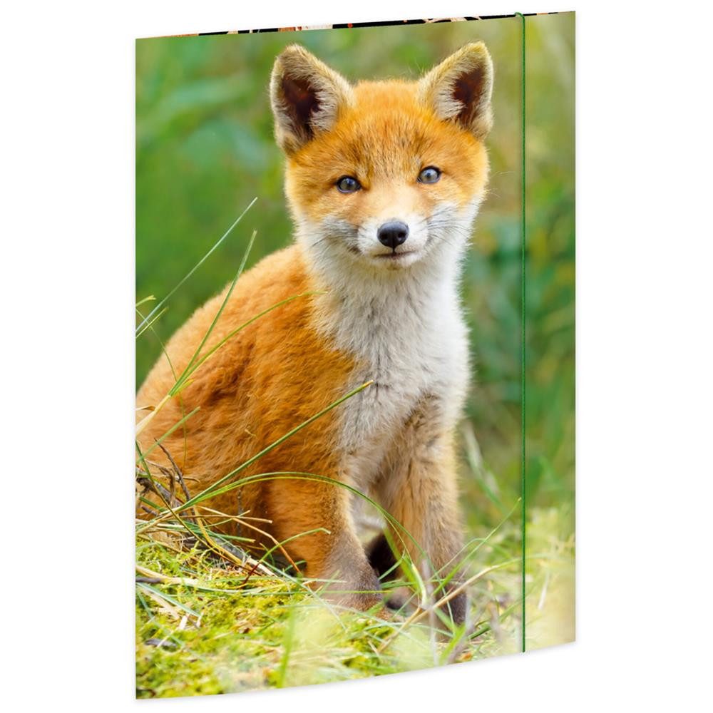 RNK Verlag Organisationsmappe Zeichenmappe Fuchs DIN A3 aus Karton mit Gummizug, 3 Einschlagklappen, Gummizug, Innen- und Außendruck